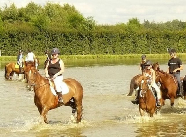 Balade a cheval en Ille et Vilaine